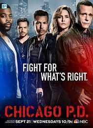 Chicago PD saison 4 poster