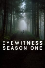 Eyewitness saison 1 poster