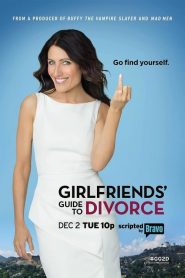 Girlfriends’ Guide to Divorce saison 1 poster