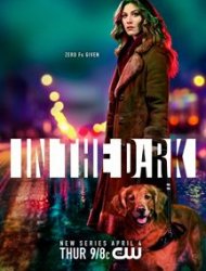 In the Dark (2019) saison 1 poster
