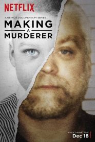 Making a Murderer saison 1 poster