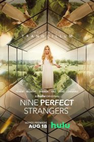 Nine Perfect Strangers saison 1 poster