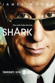 Shark saison 2 poster